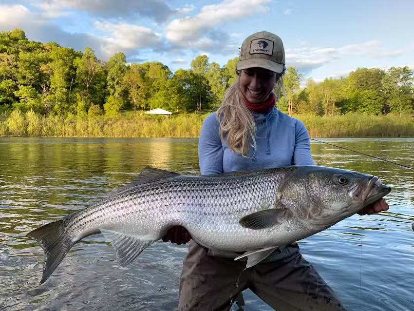 High Country Guide Service