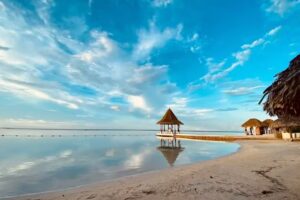 High Park Travel Agency