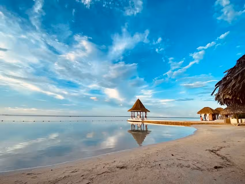 High Park Travel Agency