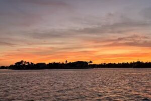 High Tide Tiki Tours