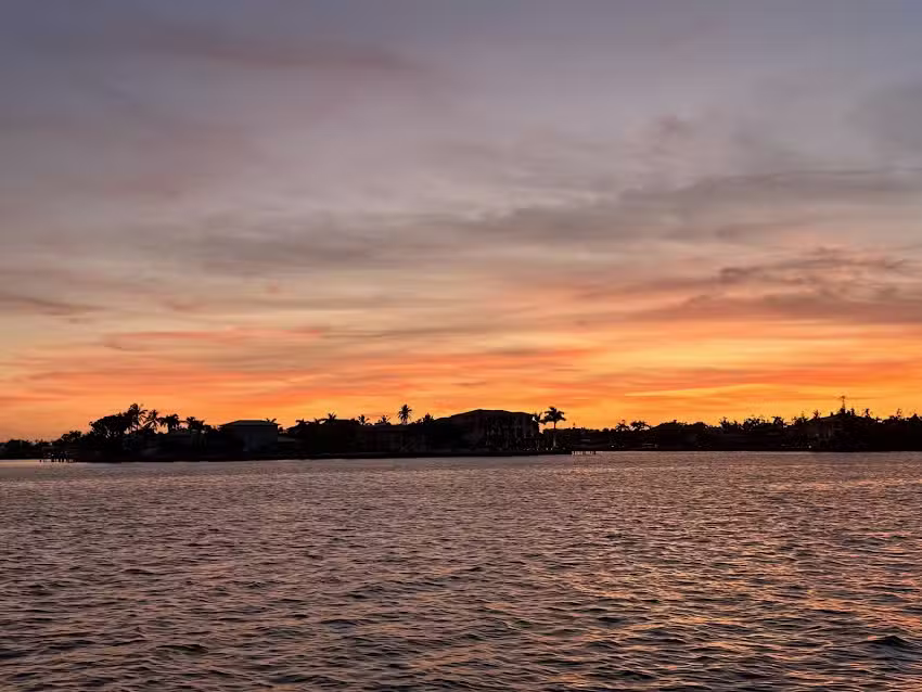 High Tide Tiki Tours