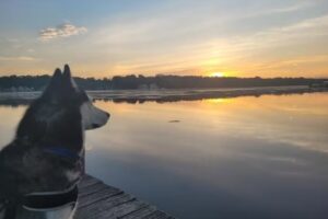 His N Hers Boat Services