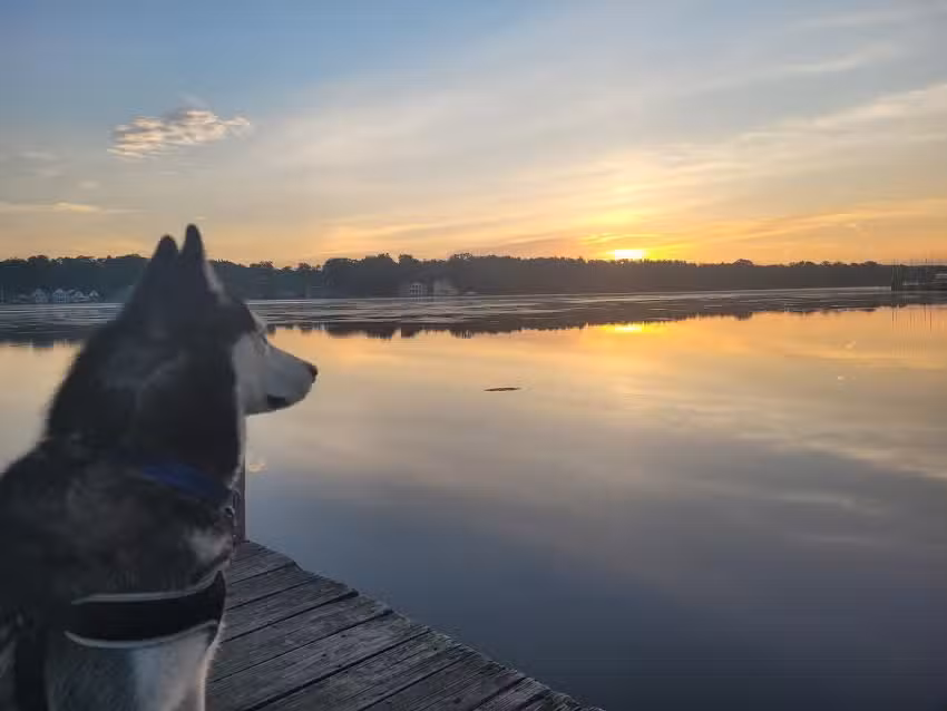 His N Hers Boat Services