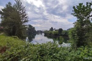 Historic Downtown Snohomish