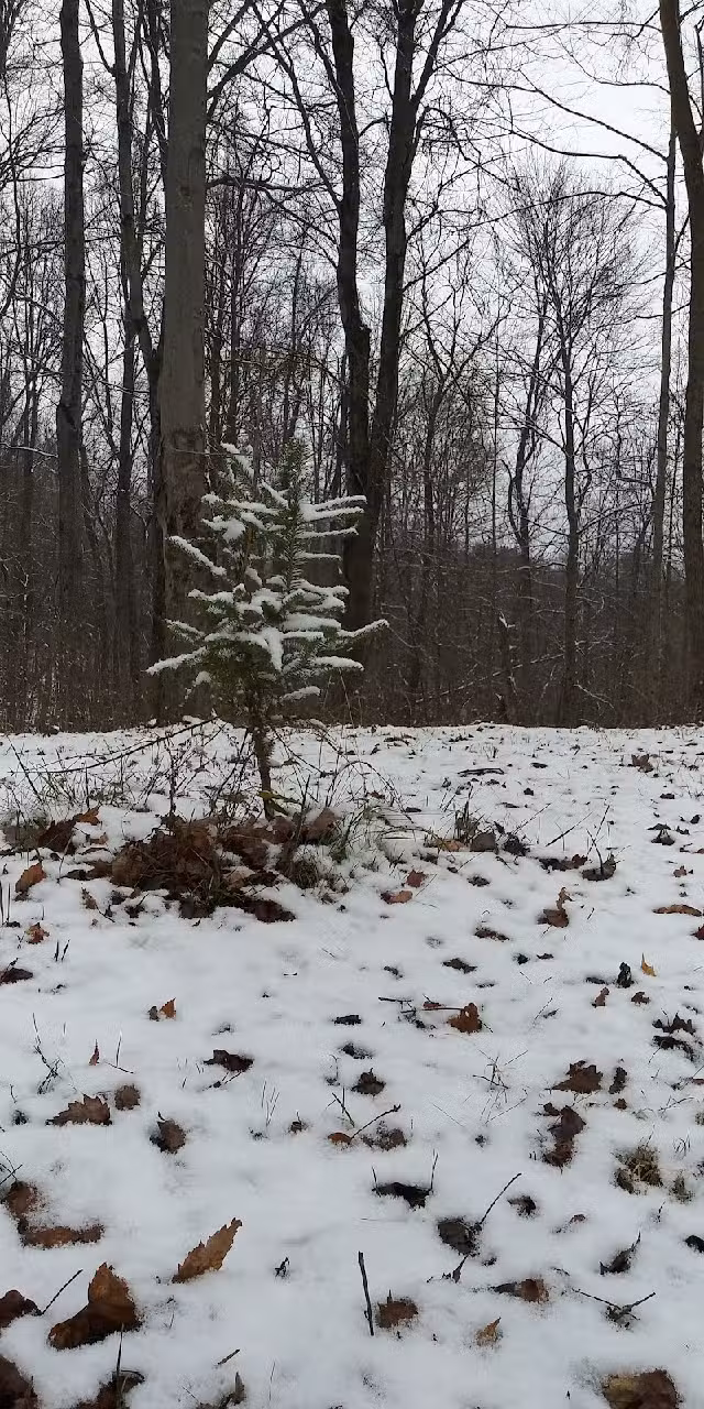 Hocking Hills Backwoods Retreat