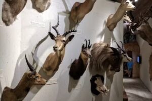 Hohenwald Welcome Center