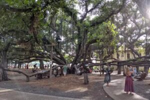 Holiday Systems International