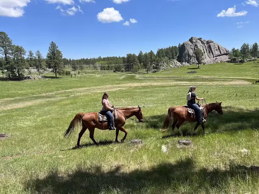 Hollingsworth Horses
