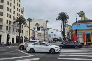 HOLLYWOOD BEVERLY HILLS TOUR