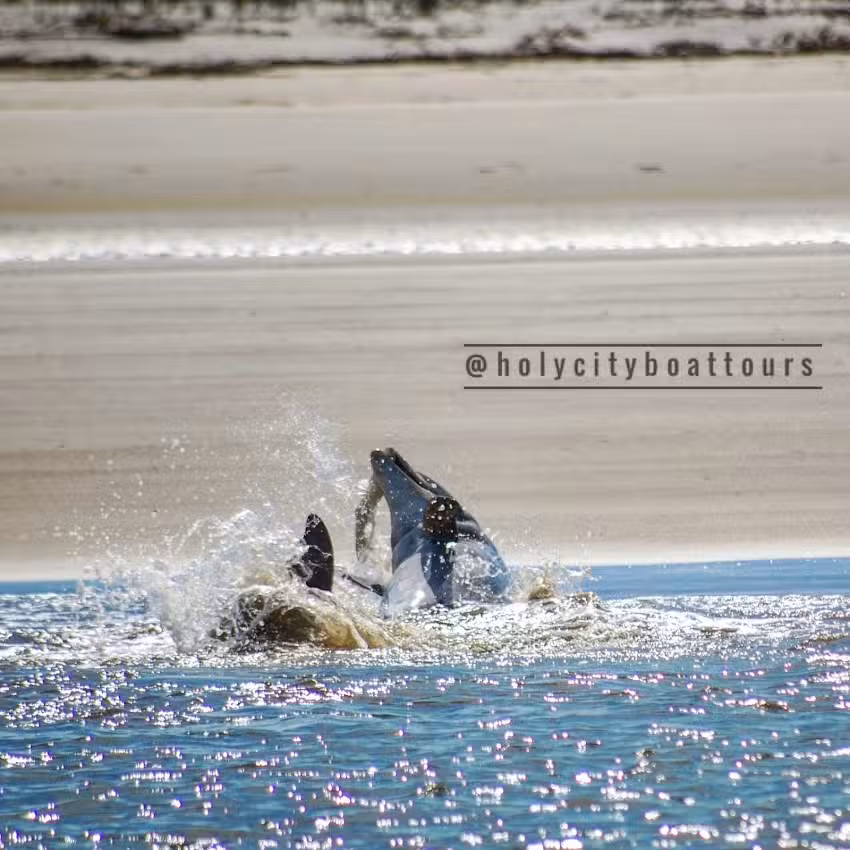 Holy City Boat Tours