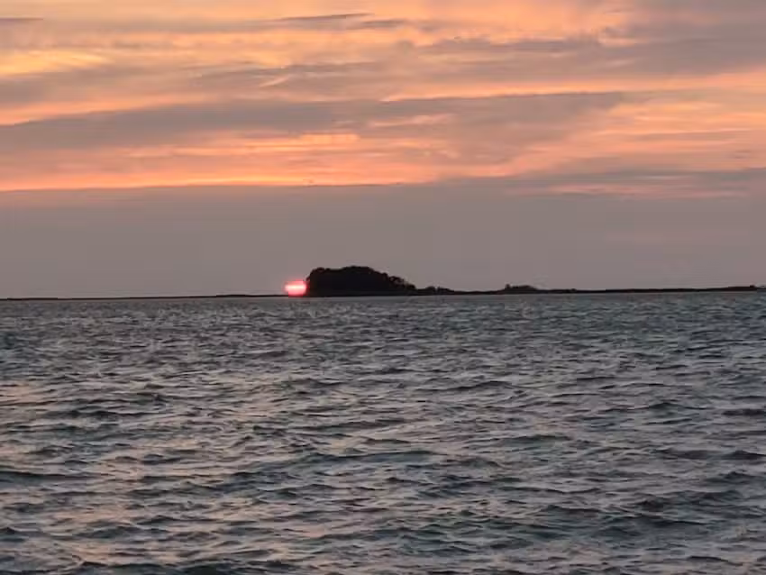 Home of the Terrapin King