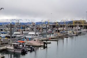 Homer Alaska Tours