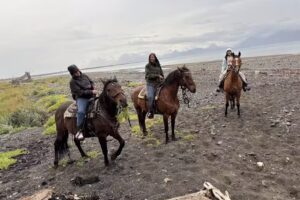 Homer Horse Adventures