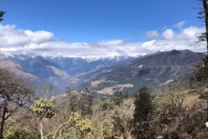 Honu Adventures – Cruise Planners