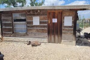 Hoofprints of the Past Museum