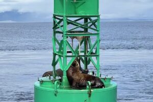 Hoonah Travel Adventures