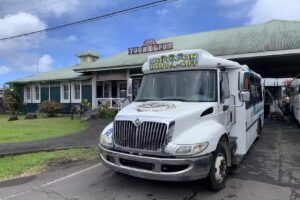 hoppa on hoppa off bus