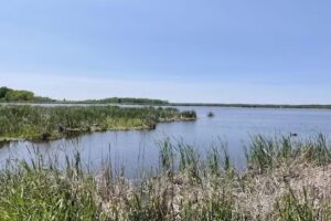 Horicon Marsh Education and Visitor Center