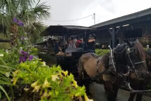 Horse Country Carriage Tours
