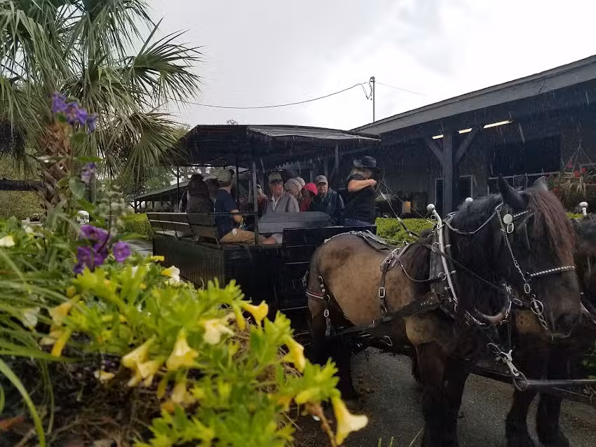 Horse Country Carriage Tours
