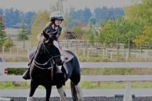 Horseshu Ranch Feed & Supply