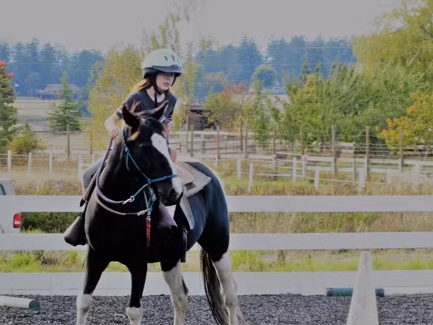 Horseshu Ranch Feed & Supply