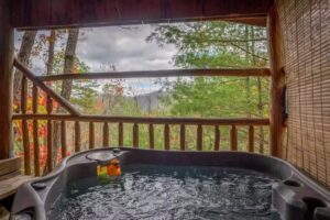 Hot Springs Treehouse Cabins