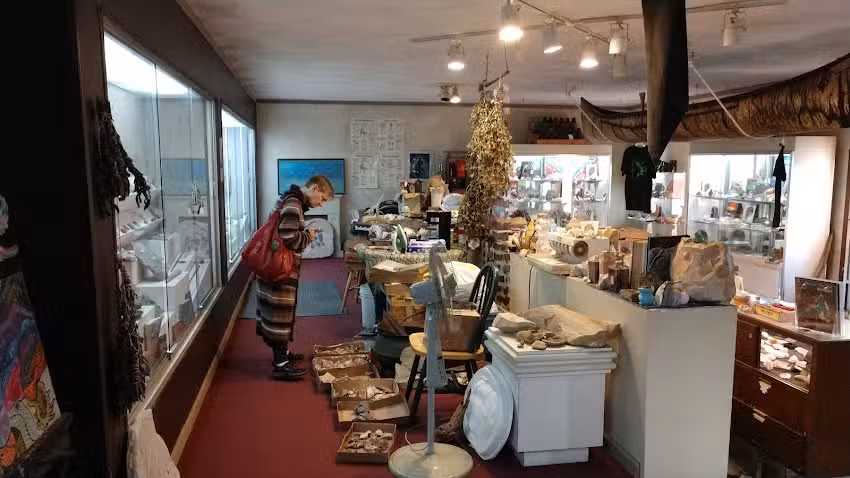 House of Phacops Rock Shop