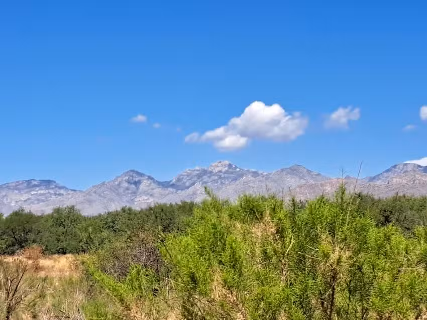 Houston&rsquo;s Horseback Riding