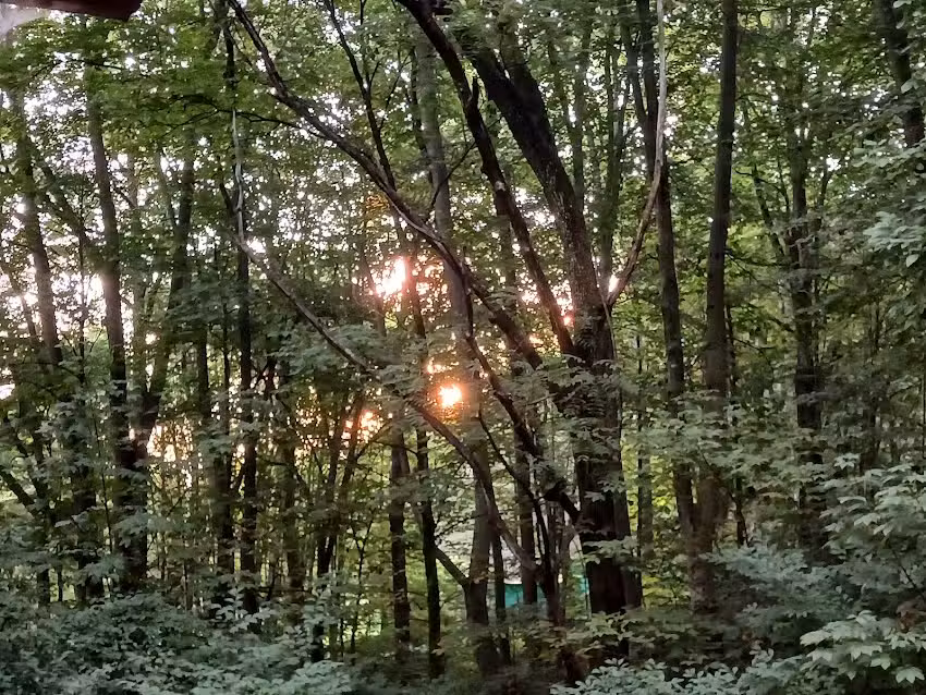 Howells at the Moon Farm