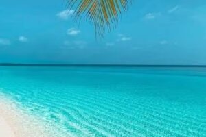 HP Travel Go-Dream Vacations