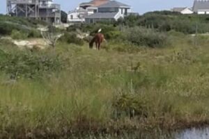 Humvee Adventure Tours