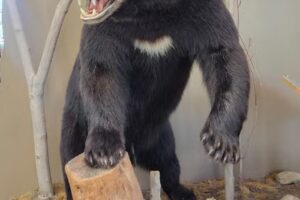 Huntingdon County Visitors Bureau