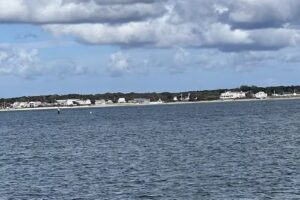 Hy-Line Cruises – Deep Sea Fishing & Hyannis Harbor Cruises