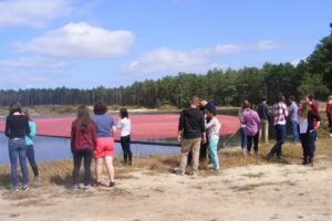Hyannis Harbor Tours Inc dba Cape Cod Custom Tours