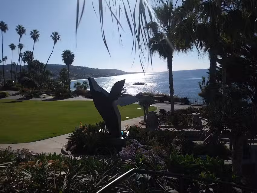 I love Laguna Tours & Events