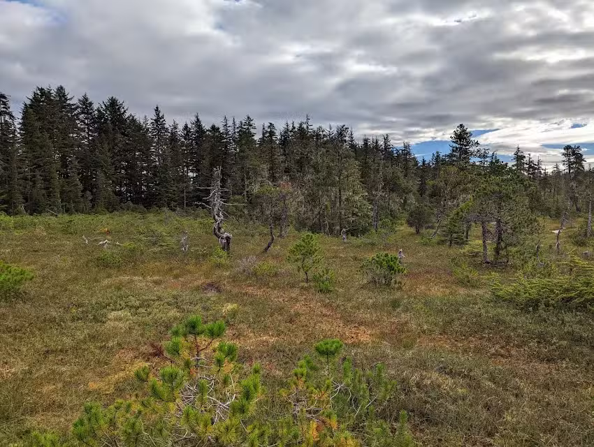 Icy Strait Shore Excursions &ndash; Hoonah, AK
