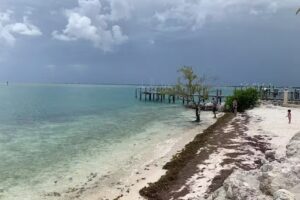 Idle Flamingo – Florida Keys Beach Condo Rental