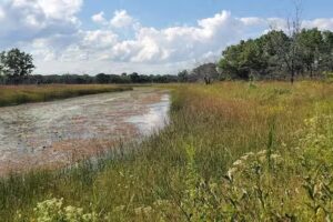 Illinois Beach Maintenance shed