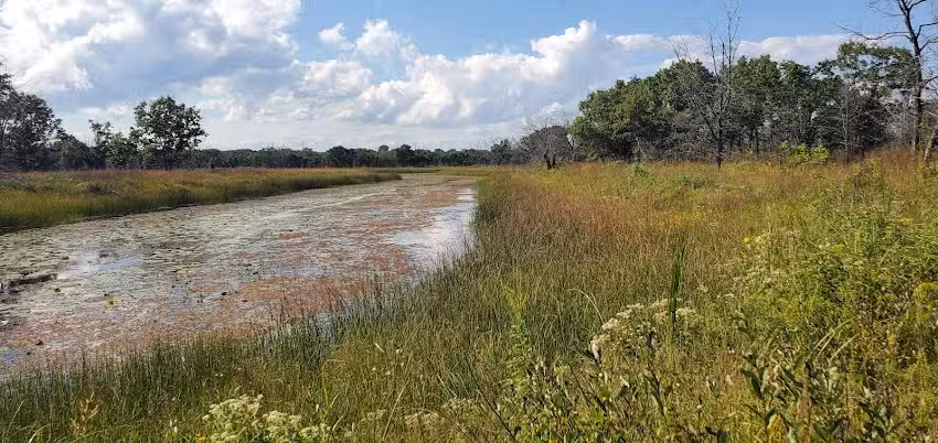 Illinois Beach Maintenance shed