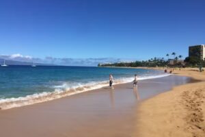 In2Scuba Diving Maui Dive Co.