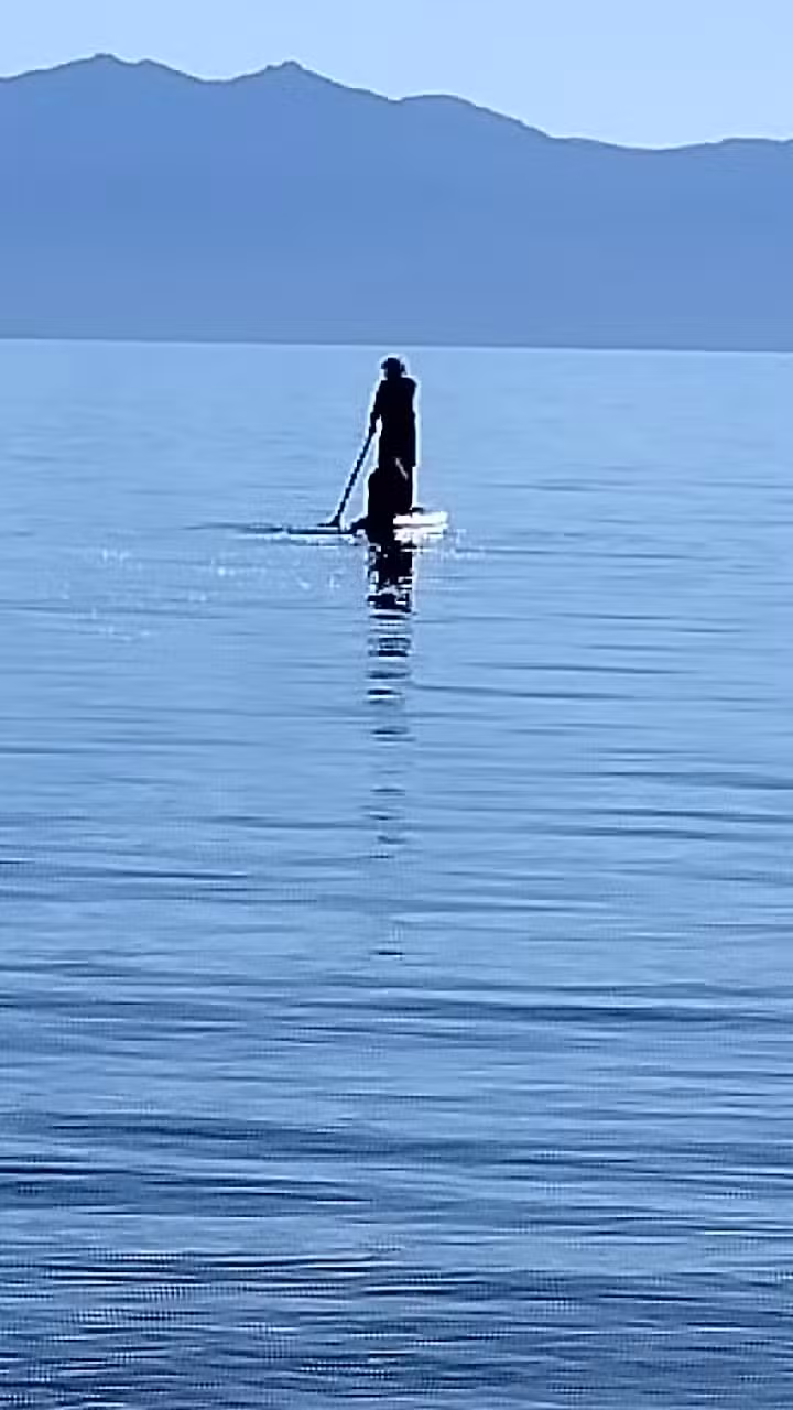 Inclusive Excursions