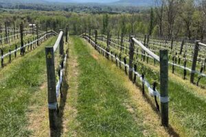 Indian Summer Guide Service