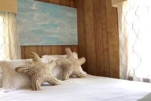 InsideOut Properties of Cape Cod