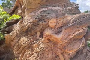 Instant Impressions Travel Services