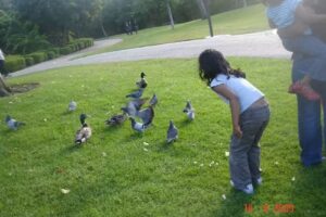 Intermissions World Travel