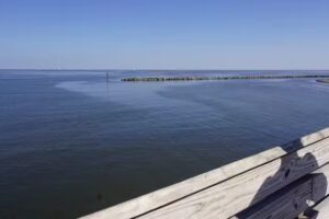 International Helicopter