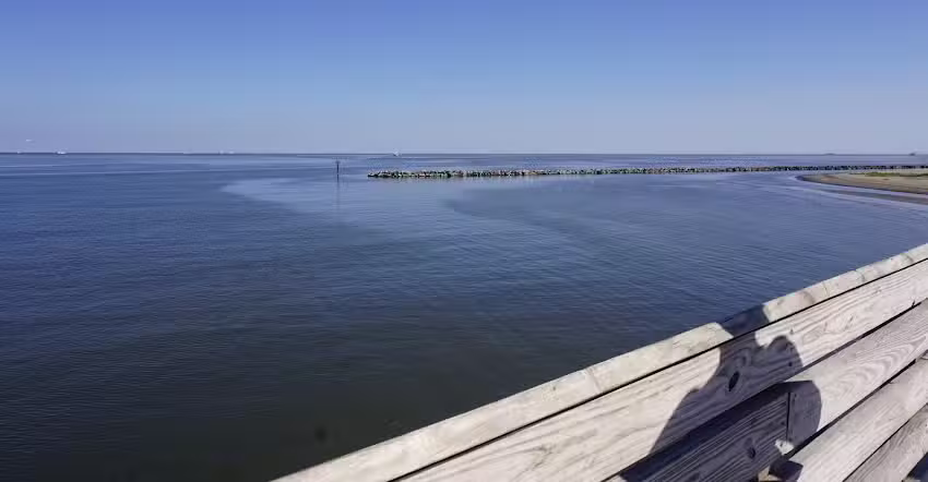 International Helicopter