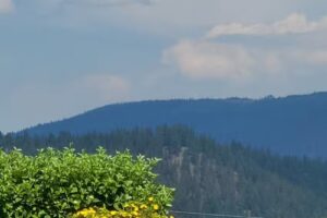 International Selkirk Loop