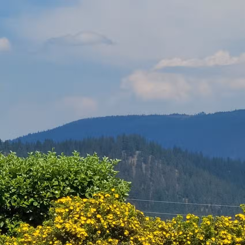 International Selkirk Loop